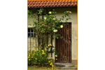 2 Wohnplätze * GROSSES schönes Grundstück* Haus-Bauplatz-Nebengelass, nahe an Wasser+ Wald* - Doppelhaushälfte Berlin / Schmöckwitz Schmöckwitz | Angebot:20337374