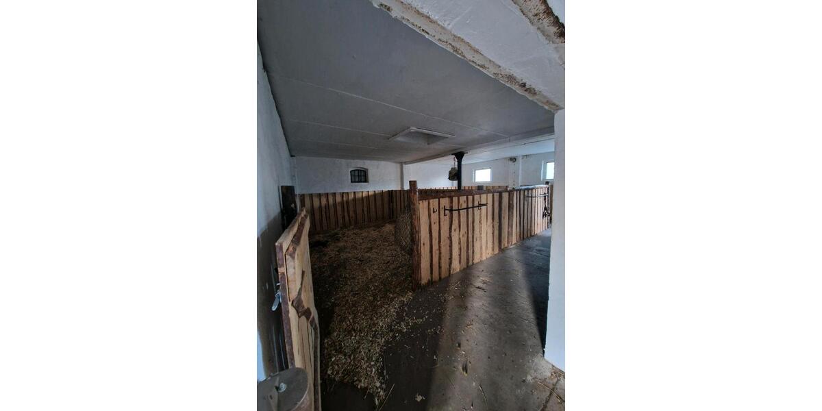 Bauernhaus, Landhaus Zerbst (Anhalt) Leps - 7 Zimmer, 190 m&sup2;, 350.000&euro; | Angebot:26929633