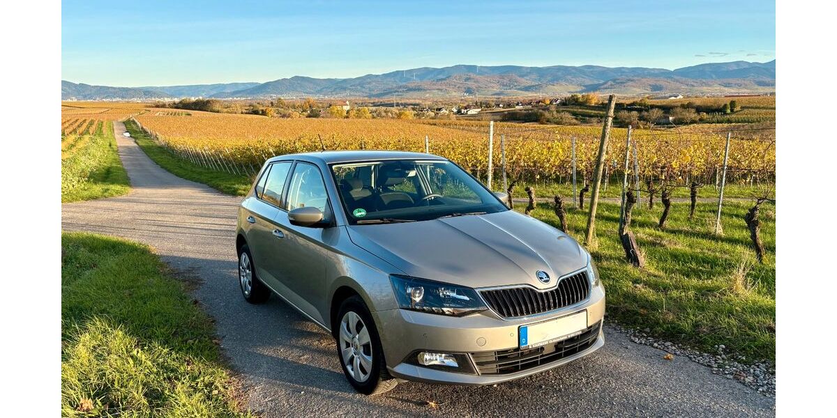 Skoda Fabia 112.332 km 8.900 &euro; Freiburg 79112