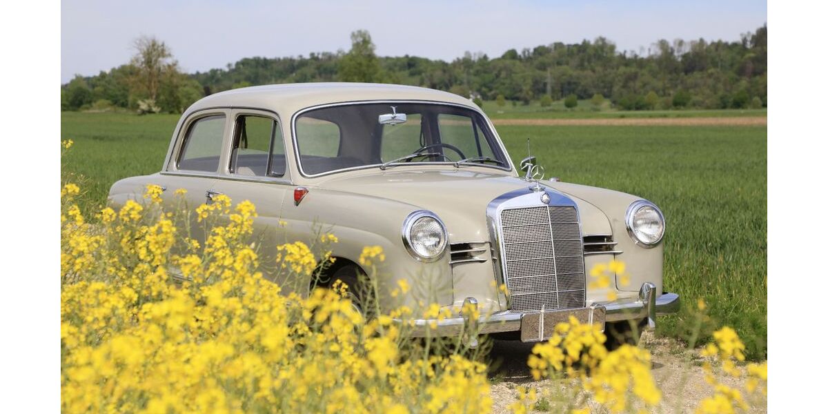 Mercedes-Benz 190 39.900 km 29.900 &euro; Buch am Erlbach 84172