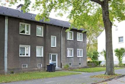 Wohnung zum Mieten in Duisburg 419 € 55.5 m²