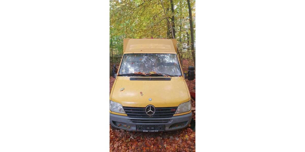 Mercedes-Benz 308 113.221 km 1.000 &euro; Eckernförde 24340