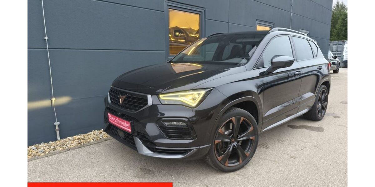 Cupra Ateca 136.865 km 27.850 &euro; Riedenburg 93339