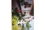 Maisonettenwohnung Freigericht - 7 Zimmer, 116 m&sup2;, 299.000&euro; | Angebot:25933265