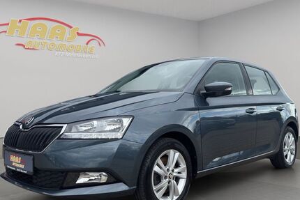 Skoda Fabia 53.650 km 10.900 &euro; Ebersdorf b.Coburg 96237
