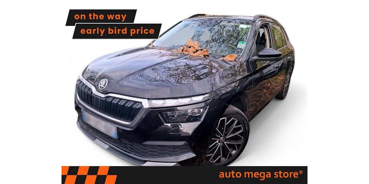 Skoda Kamiq 41.621 km 18.999 &euro; Ergolding 84030