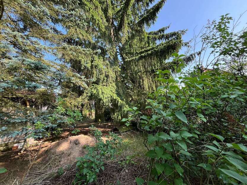 Grundstück zu verkaufen in Berlin 190.000 € 520 m²
