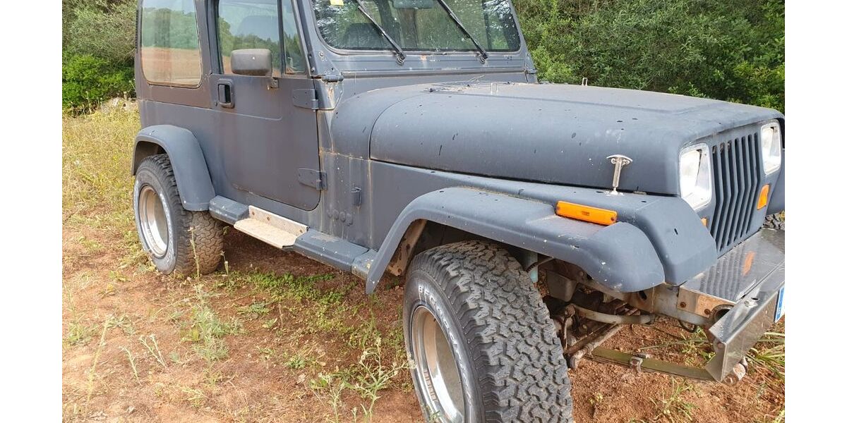 Jeep Wrangler 149.500 km 16.875 &euro; Trebbin 14959