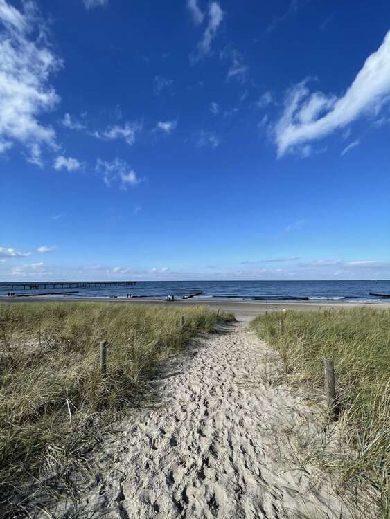 Ihr eigenes Haus direkt an der OSTSEE! Mit Wintergarten, Einbauküche und EinliegerWohnung!