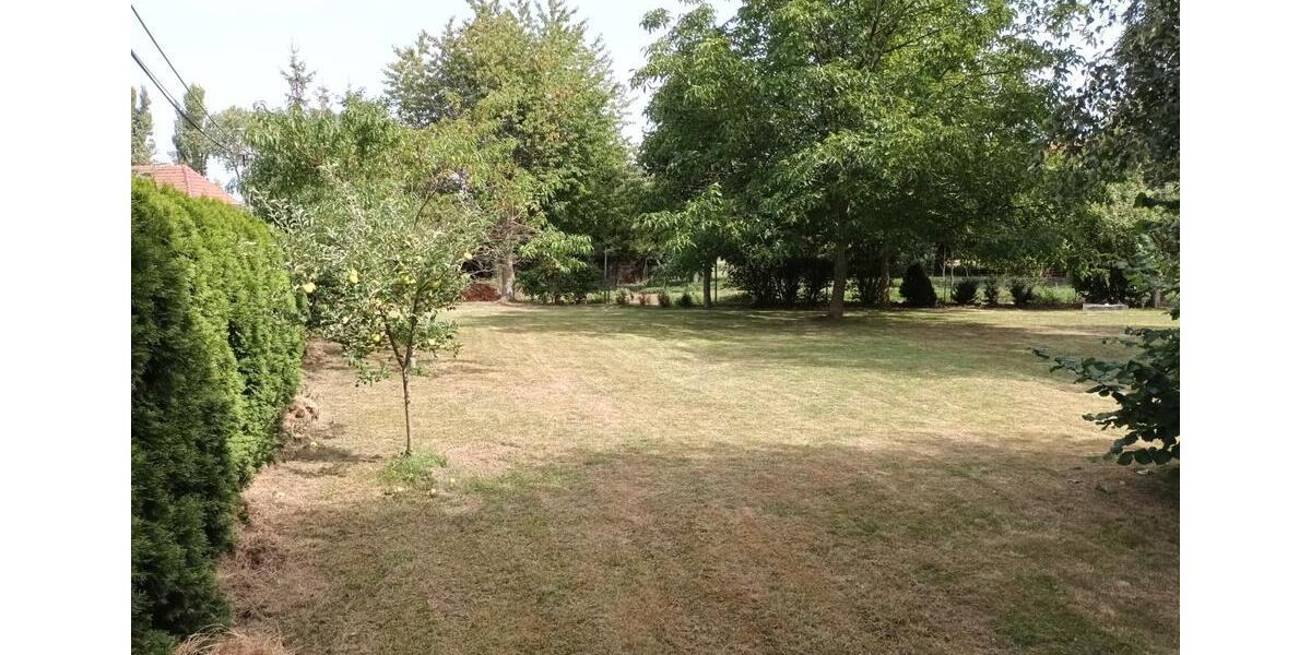 Mehrfamilienhaus, Wohnhaus Freyburg (Unstrut) - 11 Zimmer, 220 m&sup2;, 49.000&euro; | Angebot:26616924