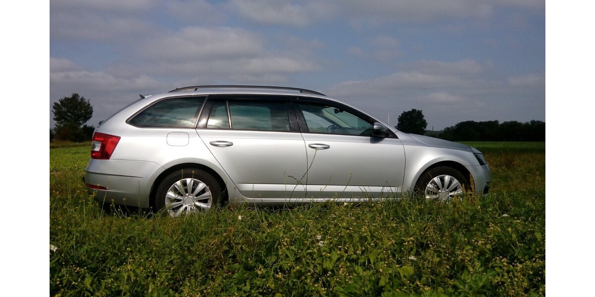 Skoda Octavia 240.420 km 8.300 &euro; Wrestedt 29559