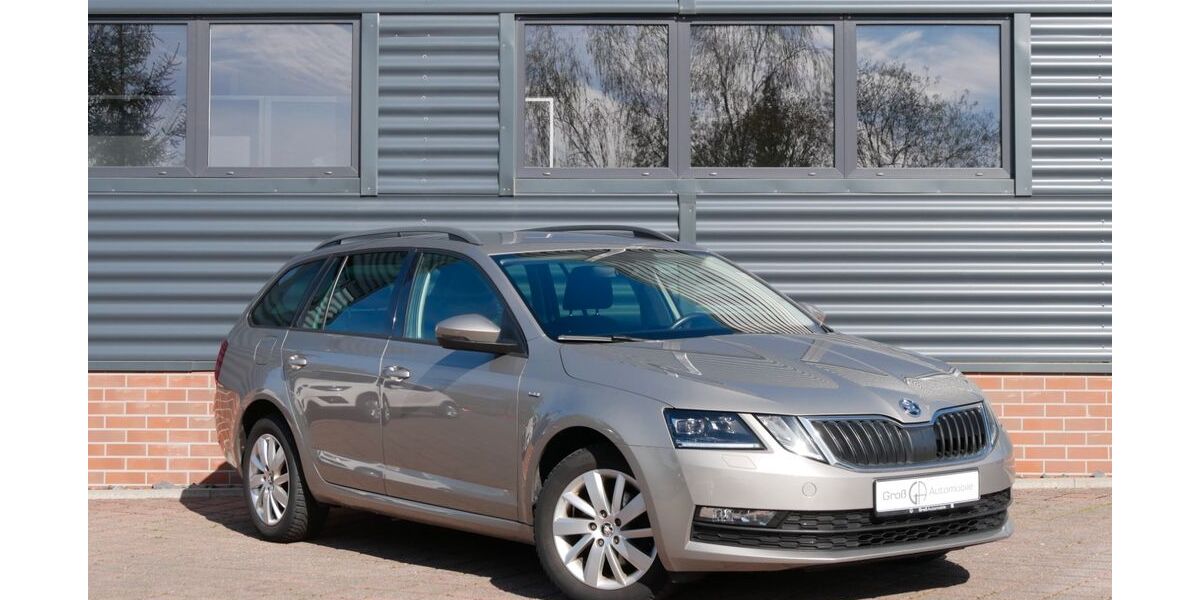 Skoda Octavia 99.999 km 13.990 &euro; Schneeberg 08289