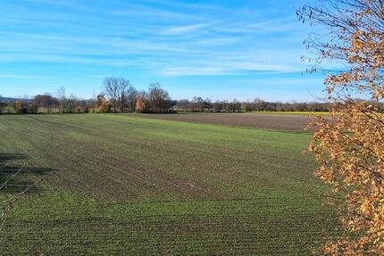 Wohnung Olching - 3 Zimmer, 91 m&sup2;, 530.000&euro; | Angebot:24652100