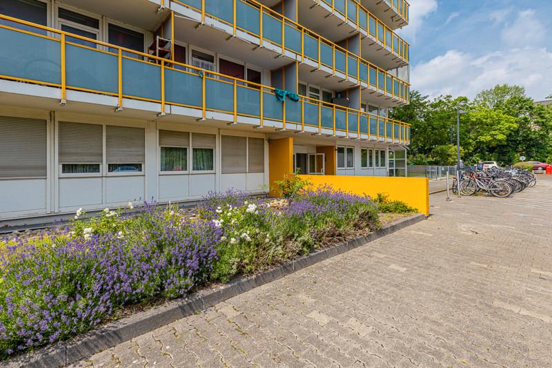 Etagenwohnung Mainz Gonsenheim - 2 Zimmer, 66 m&sup2;, 963&euro; | Angebot:25880941