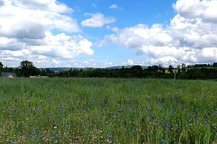 Grundstück zu verkaufen in AuerbachVogtland 94.080 € 672 m² zimmer