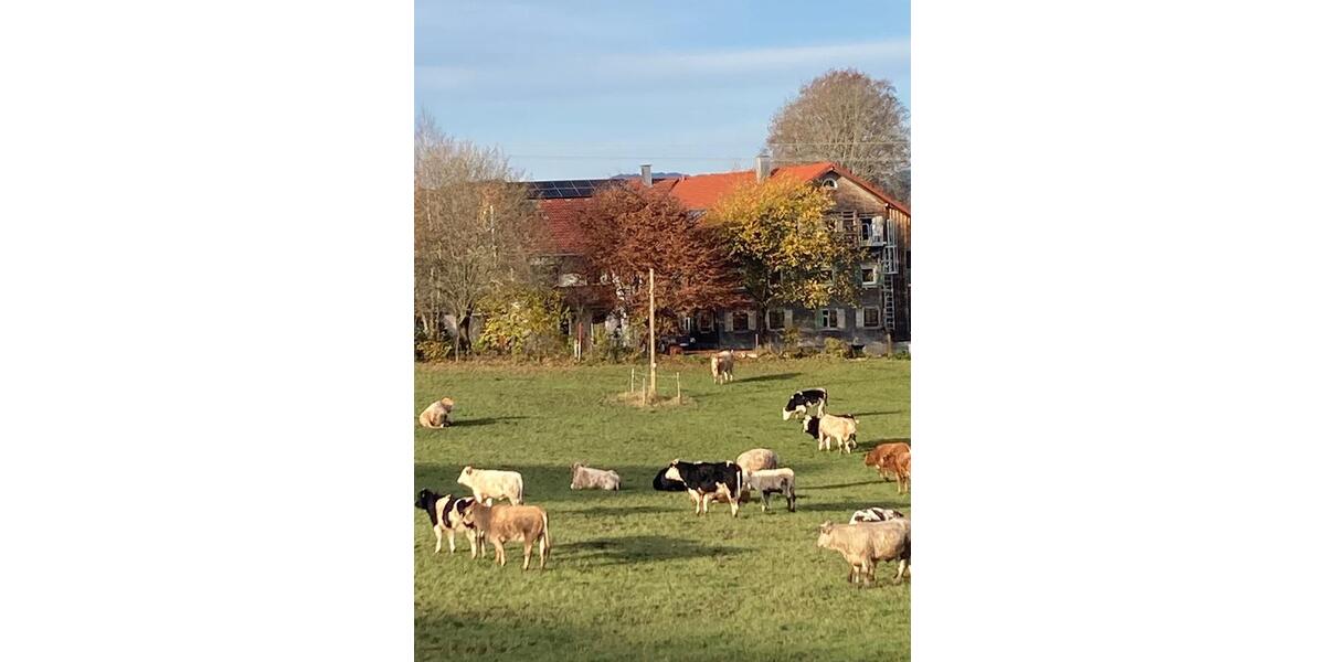 Erdgeschoßwohnung Sulzberg - 1 Zimmer, 25 m&sup2;, 510&euro; | Angebot:25402289