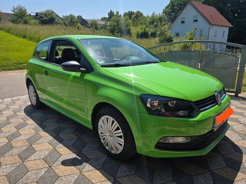 Polo
