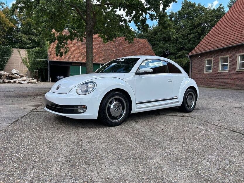 Beetle