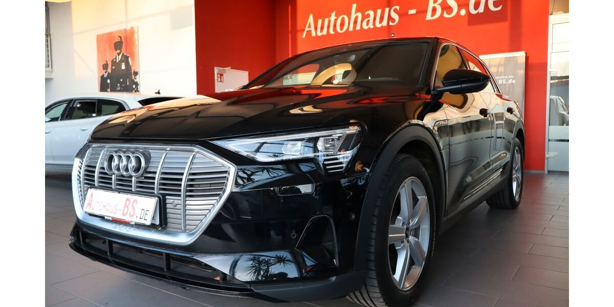 Audi e-tron 40.351 km 31.649 &euro; Braunschweig 38116