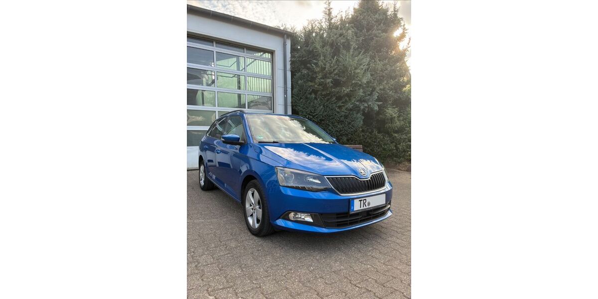 Skoda Fabia 142.000 km 7.340 &euro; Nittel 54453