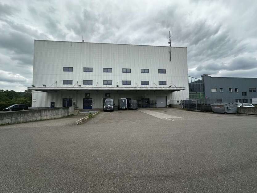 Halle in Bad Säckingen 7.500 € 1319 m²