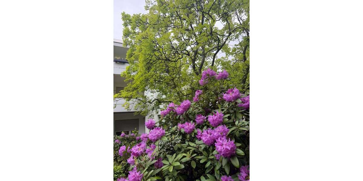 Wohnung zum Kaufen in Bad Homburg vor der Höhe 219.000 € 59 m² - Etagenwohnung Bad Homburg vor der Höhe Berliner Siedlung/Gartenfeld | Angebot:26675538
