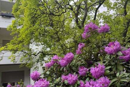 Wohnung zum Kaufen in Bad Homburg vor der Höhe 219.000 € 59 m² - Wohnung Bad Homburg vor der Höhe Berliner Siedlung/Gartenfeld | Angebot:26675538
