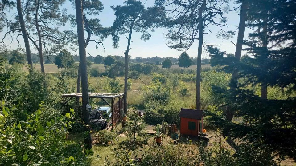 Bungalow Schönebeck (Elbe) Pretzien - 3 Zimmer, 35 m&sup2;, 35.000&euro; | Angebot:26356192