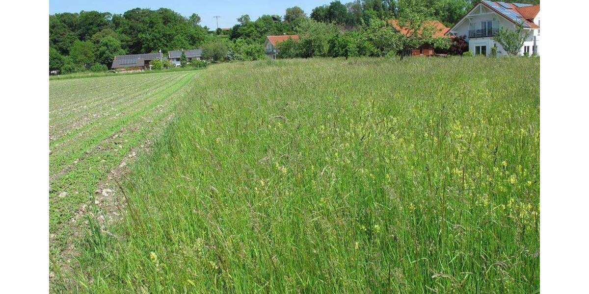Grundstück Burgkirchen an der Alz Grasset - 338.000&euro; | Angebot:25769722