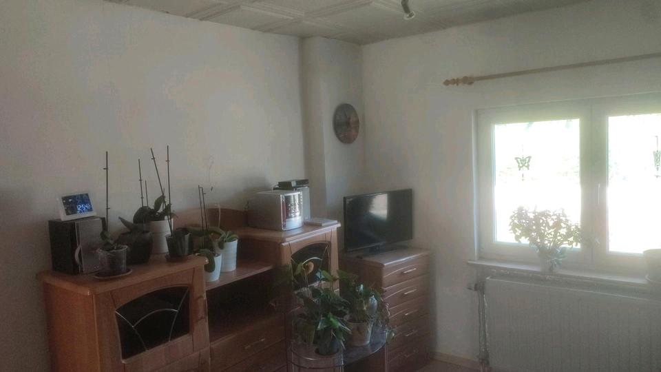 Erdgeschoßwohnung Tessin - 2 Zimmer, 38 m&sup2;, 370&euro; | Angebot:26339462