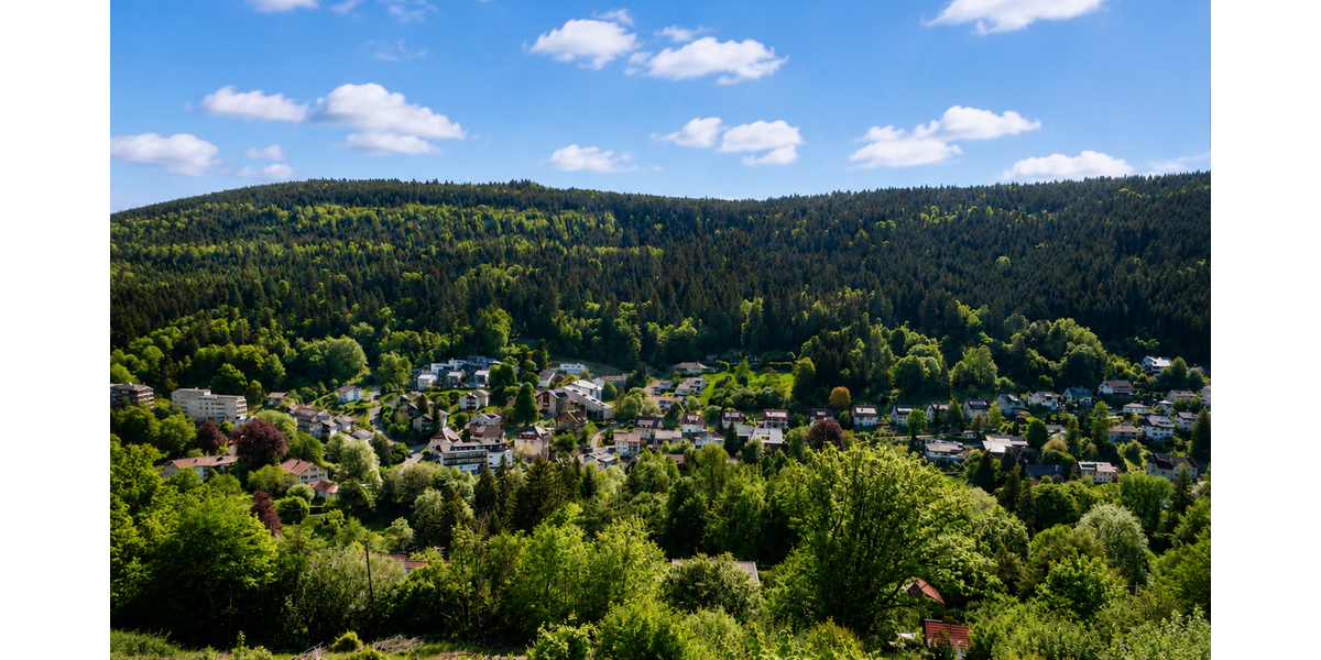 Grundstück Bad Wildbad - 269.000&euro; | Angebot:26689138