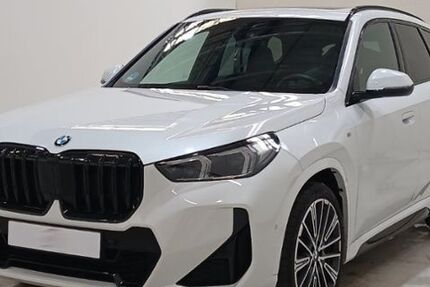 BMW X1 37.900 km 42.890 &euro; Dessau direkt an der A9 06842