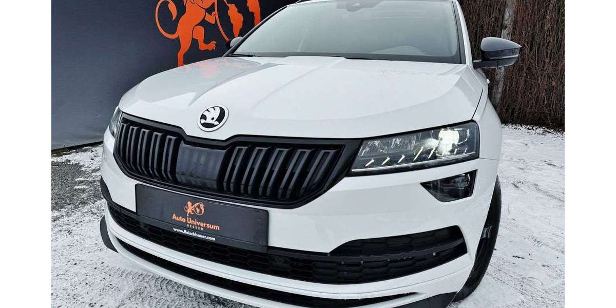 Skoda Karoq 146.000 km 19.890 &euro; Liederbach am Taunus 65835