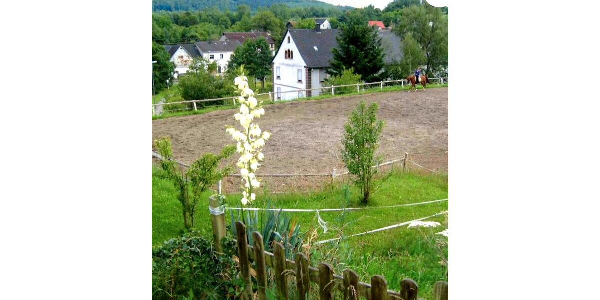 Einfamilienhaus Birkenfeld - 11 Zimmer, 350 m&sup2;, 849.000&euro; | Angebot:27145824