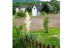 Einfamilienhaus Birkenfeld - 11 Zimmer, 350 m&sup2;, 849.000&euro; | Angebot:27145824