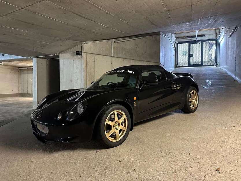 Elise