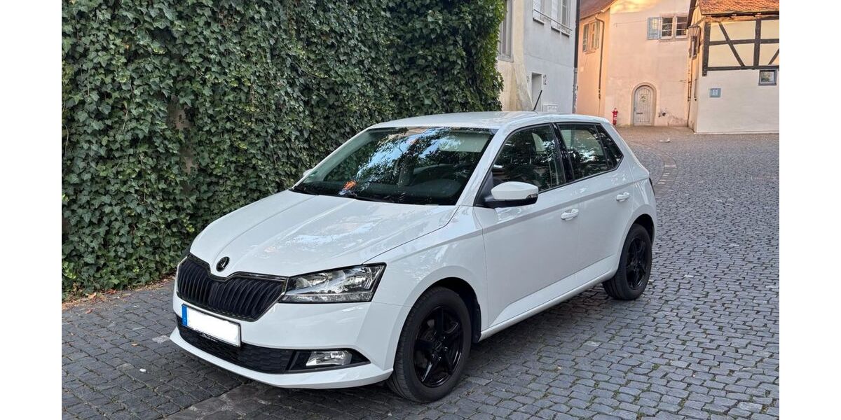 Skoda Fabia 130.000 km 8.450 &euro; Konstanz 78462