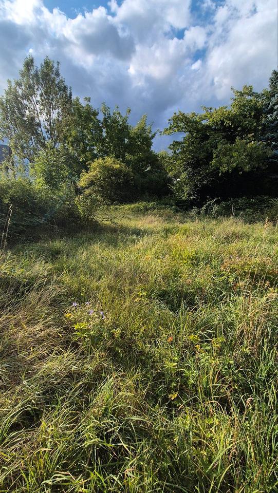 Garten Grundstück Stückle