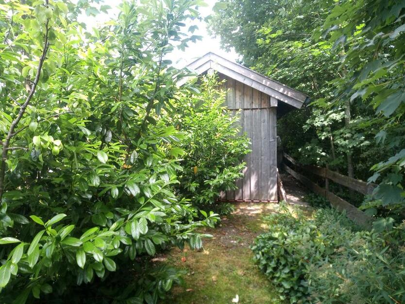 kleiner Garten