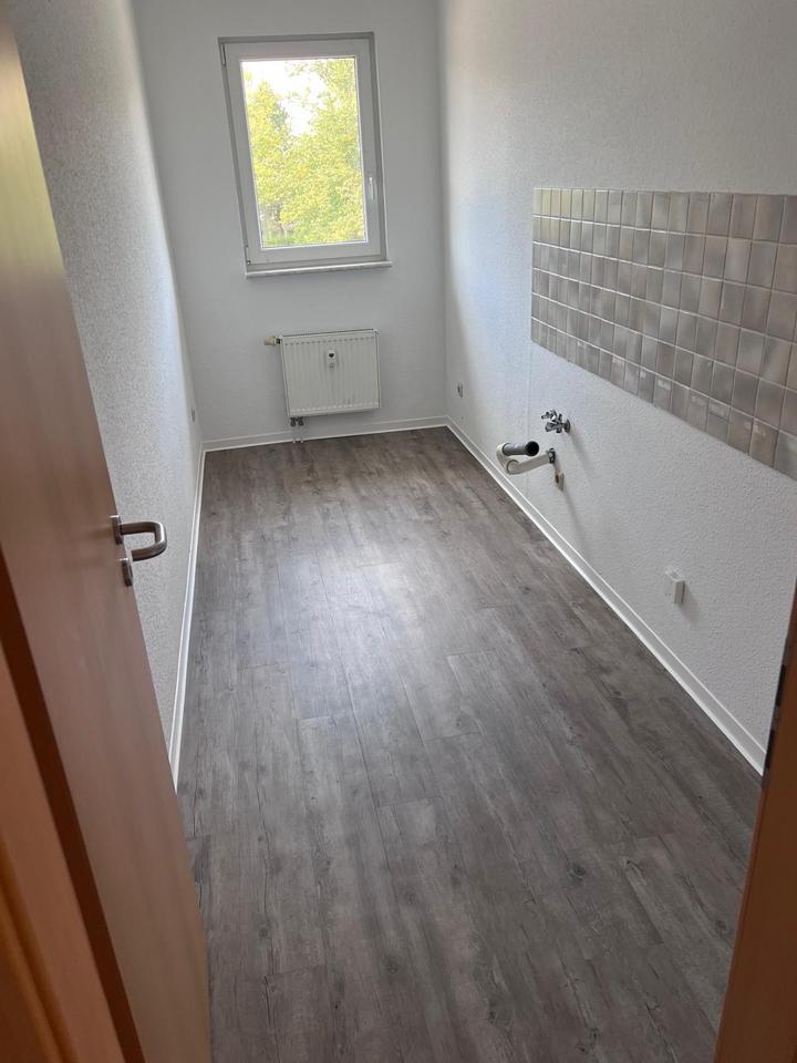 Schöne, helle und frisch renovierte Wohnung zimmer