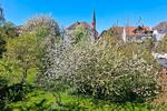 Etagenwohnung Uelzen - 4 Zimmer, 80 m&sup2;, 1.000&euro; | Angebot:26395966