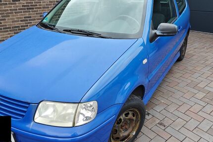 VW Polo 216.000 km 1.100 &euro; Holle 31188