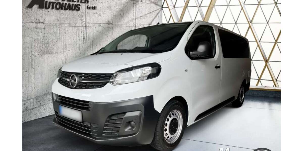 Opel Vivaro 55.000 km 25.990 &euro; Bad Tabarz 99891