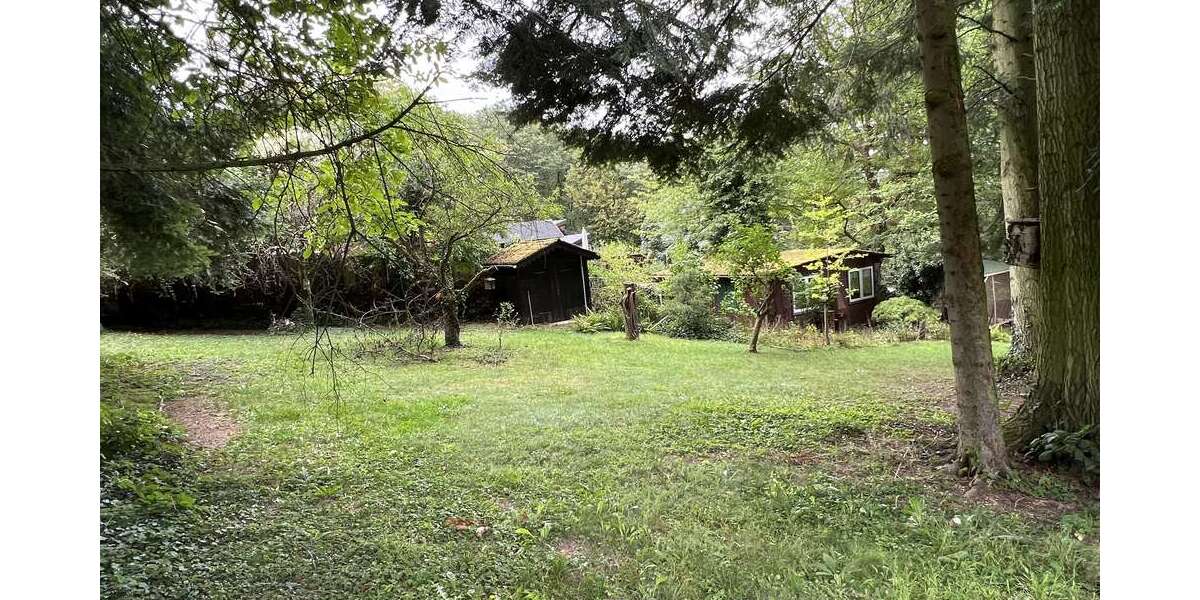 Grundstück Hallgarten Hallgarten - 179.000&euro; | Angebot:26008160