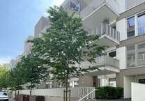 Wohnung zum Mieten in Bremen 1.399 € 129.61 m²