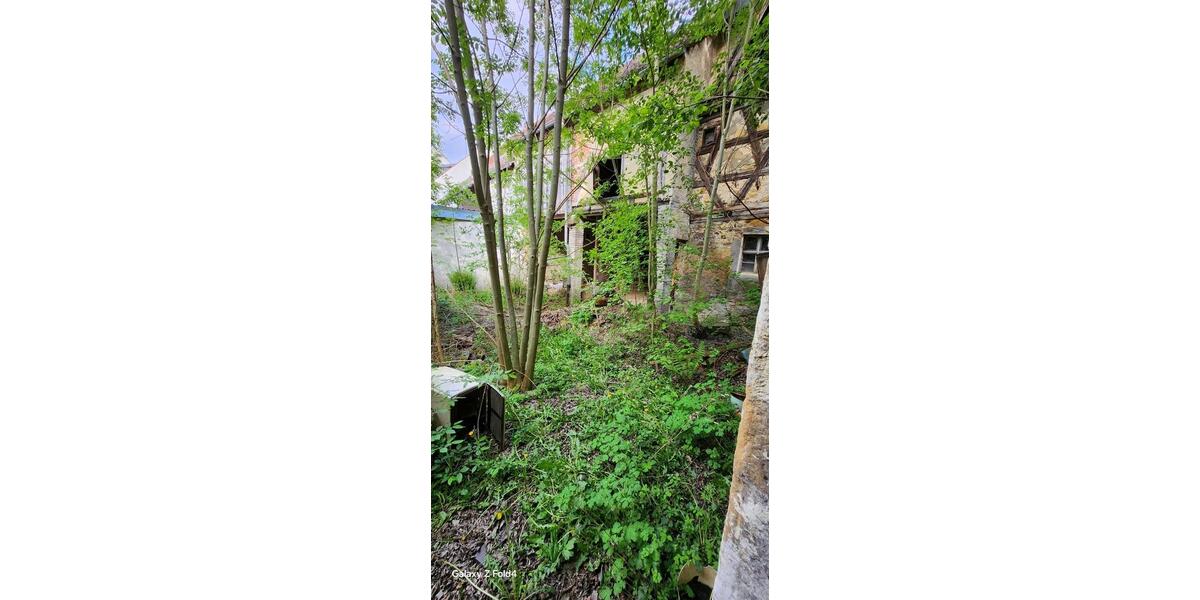 Doppelhaushälfte Vilseck - 16 Zimmer, 520 m&sup2;, 45.000&euro; | Angebot:20657309