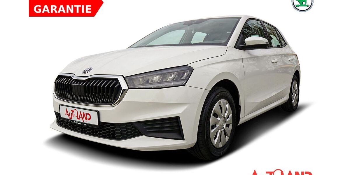 Skoda Fabia 26.485 km 17.950 &euro; Brehna 06796