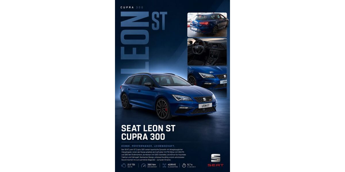 Seat Leon 144.000 km 19.900 &euro; Lindenberg 88161