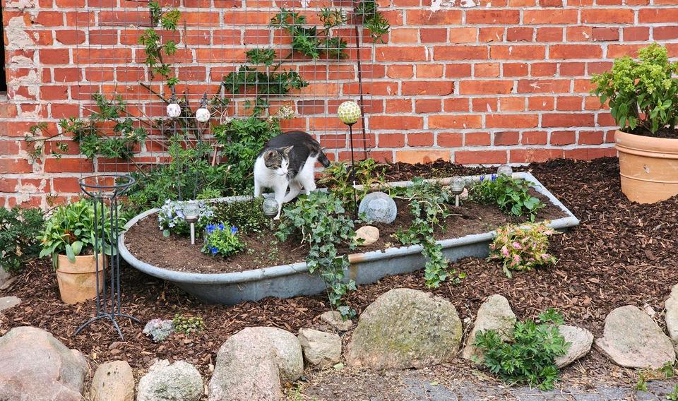 Erdgeschoßwohnung Kalbe (Milde) - 3 Zimmer, 75 m&sup2;, 400&euro; | Angebot:25512825