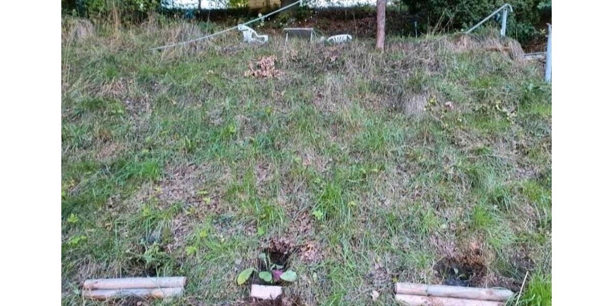 Grundstück Stadtroda - 10.000&euro; | Angebot:26089427